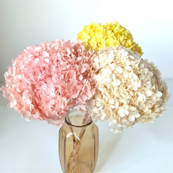 How to dry flowers for decoration