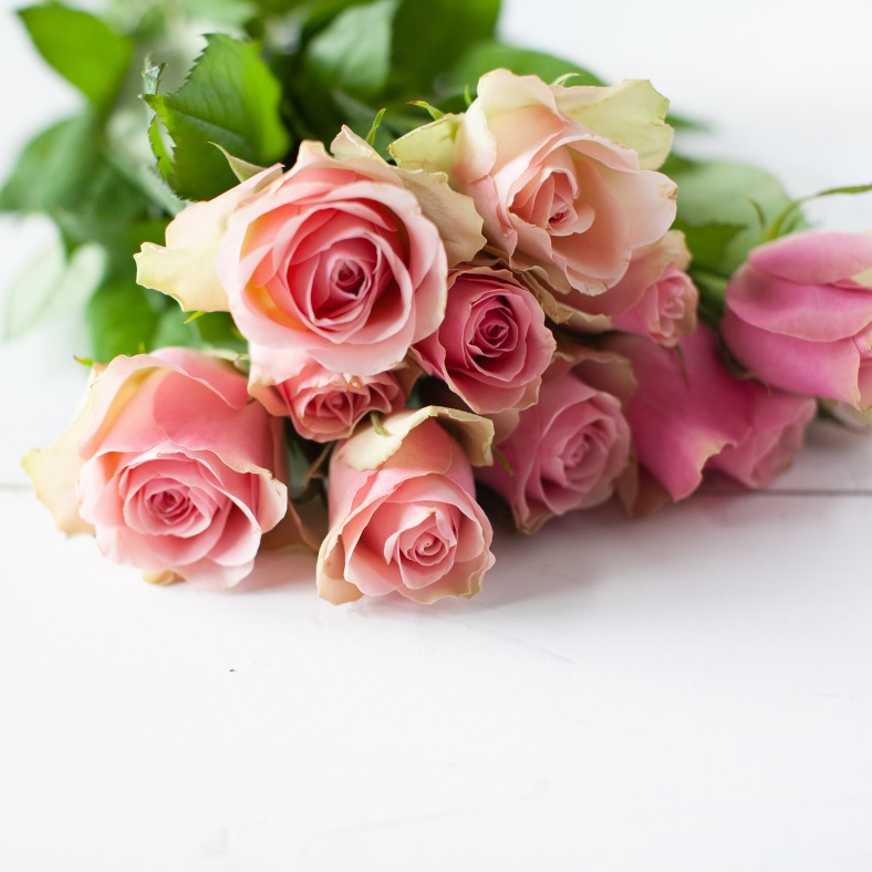 Florists' recommendations for choosing fresh roses